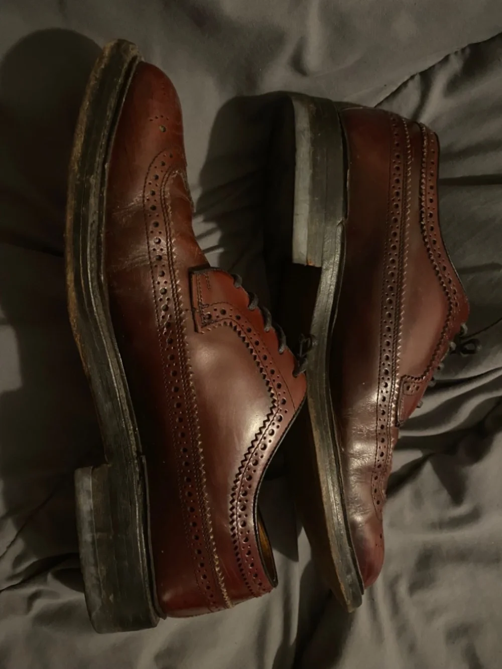 burgundy leather wingtip oxfords